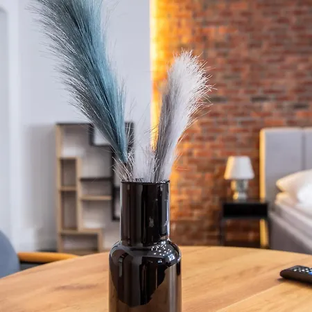 Apartamento Kosciuszki Gliwice