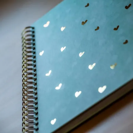 Apartamento Kosciuszki Gliwice