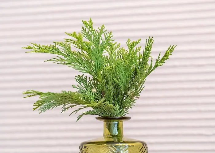 Kosciuszki Apartamento Gliwice